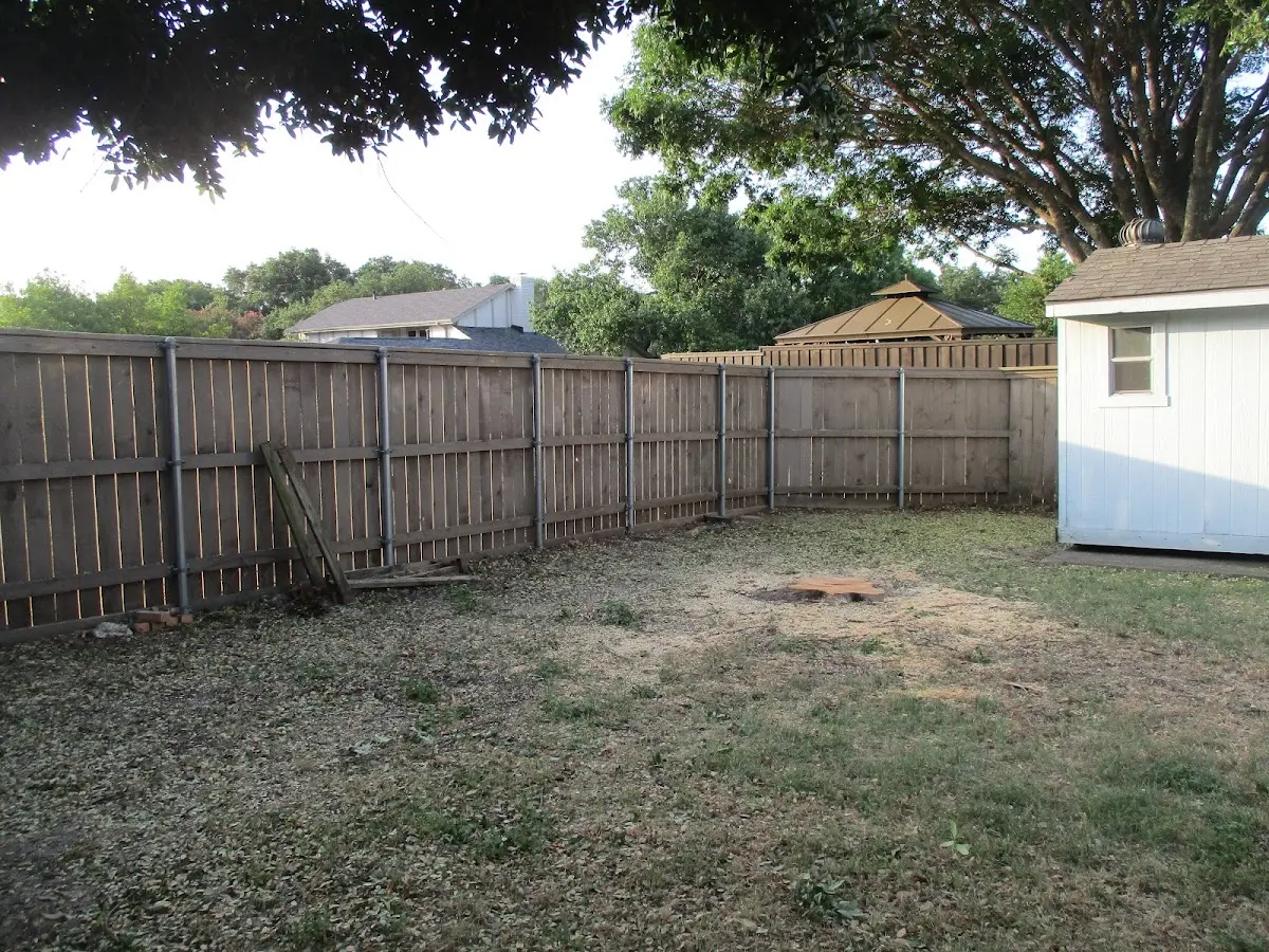 Cleared yard after professional tree removal in York Beach